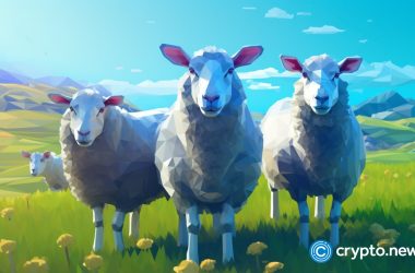 new-zealand-not-quick-to-implement-crypto-regulatory-policies