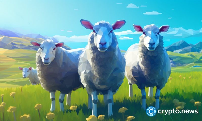 new-zealand-not-quick-to-implement-crypto-regulatory-policies