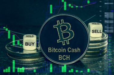 bitcoin-cash-jumps-to-14-month-high-amid-south-korea-volume-spike