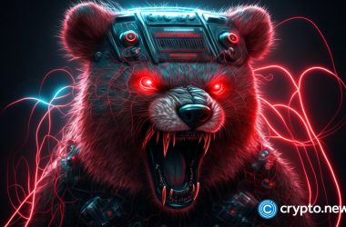 everything-you-should-know-about-a-crypto-bear-market