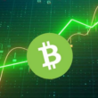 bitcoin-cash-(bch)-registers-28%-gain-–-how-long-will-it-last?