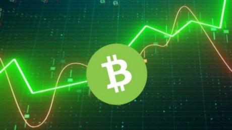 bitcoin-cash-(bch)-registers-28%-gain-–-how-long-will-it-last?