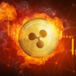 xrp-next-step:-here’s-why-an-upward-move-could-be-likely