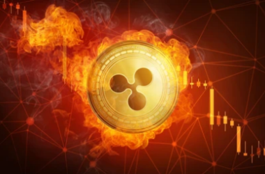 xrp-next-step:-here’s-why-an-upward-move-could-be-likely