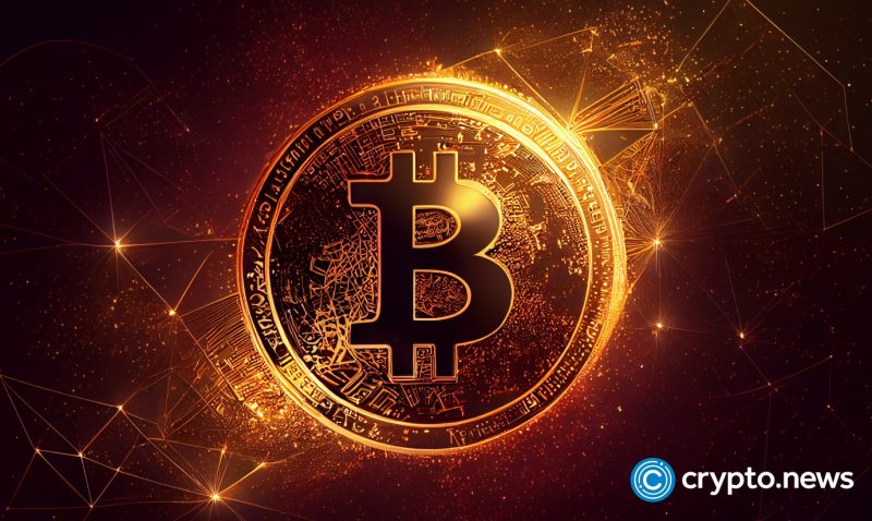 report:-institutional-investors-accumulated-more-bitcoin-in-june 