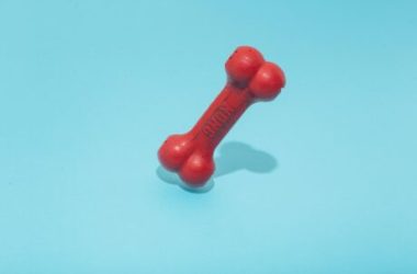 bone-shibaswap-(bone)-spikes-43%-in-a-week-–-here’s-why