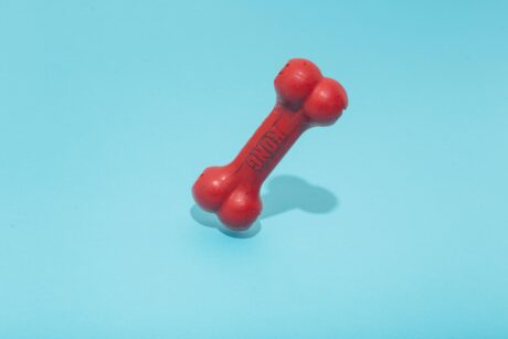 bone-shibaswap-(bone)-spikes-43%-in-a-week-–-here’s-why