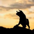 bitcoin-sharks-and-whales-go-on-$2.15-billion-buying-spree,-is-it-time-to-sell?