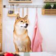 presale-of-the-new-ai-powered-shiba-menu-project-attracting-huge-investor-attention