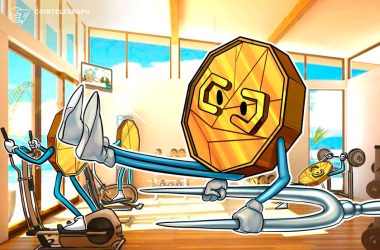 bnb-beacon-chain-to-add-‘panic’-feature-that-can-‘halt’-blockchain