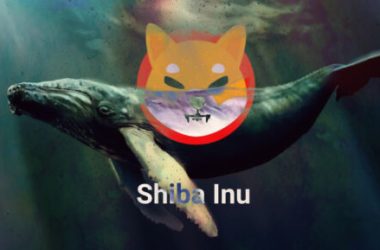 shiba-inu-whale-holding-10%-of-total-shib-supply-shocks-the-market
