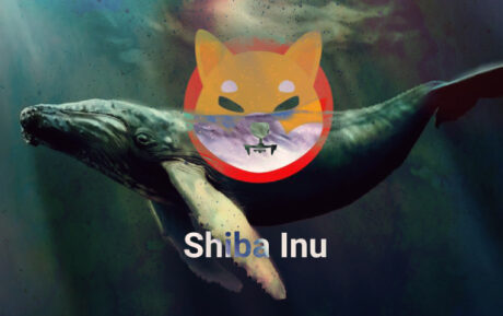 shiba-inu-whale-holding-10%-of-total-shib-supply-shocks-the-market