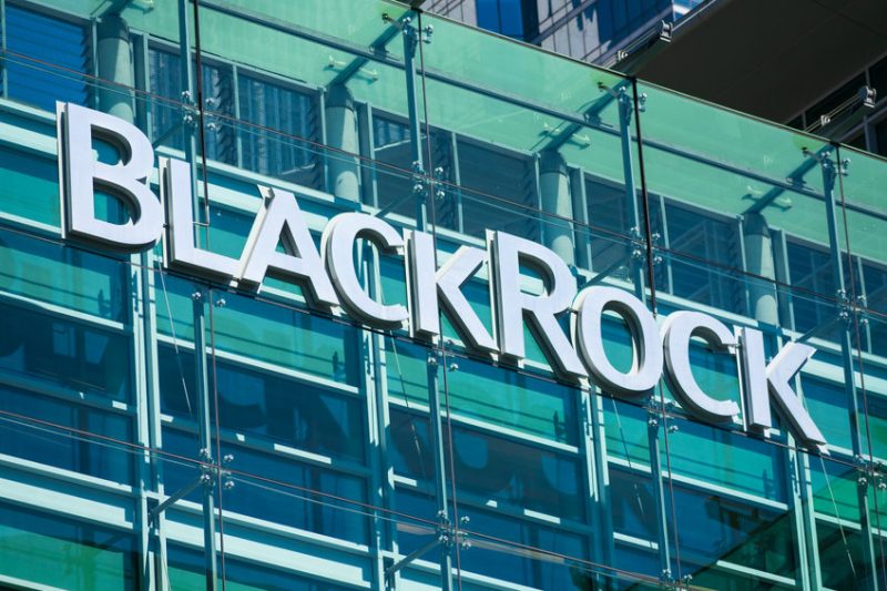 blackrock-ceo-says-crypto-will-transcend-international-currencies