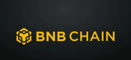 bnb-chain-inks-new-record-with-soaring-user-activity-–-a-boost-for-price?