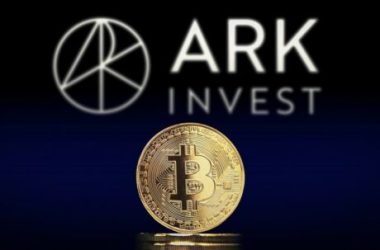 ark-invest-sells-over-$50-million-worth-of-coinbase-shares-amidst-stock-rally