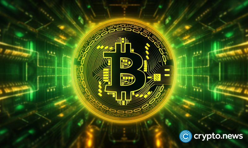 digitoads,-bitcoin-lightning-network-adoption-rising