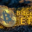 united-states-sec-officially-accepts-valkyrie-spot-bitcoin-etf-application
