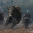 xrp-overtakes-bitcoin-in-highest-weekly-trading-volume-following-legal-triumph