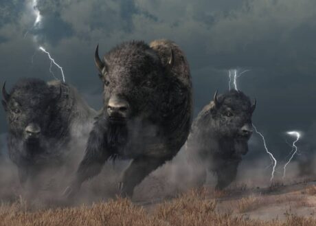 xrp-overtakes-bitcoin-in-highest-weekly-trading-volume-following-legal-triumph