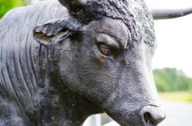 stellar-(xlm)-surges-over-43%-in-one-week,-what’s-pushing-it?