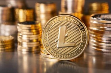 litecoin-whales-purchase-$59-million-worth-of-ltc-as-halving-event-approaches