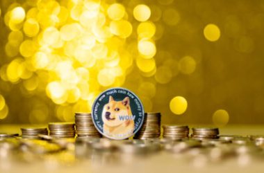 dogecoin-barks-upwards:-elon-musk’s-twitter-feed-sends-doge-up-3%