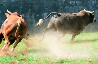 xrp-price-outlook:-a-tinge-of-frustration-but-bulls-have-$1-in-sight