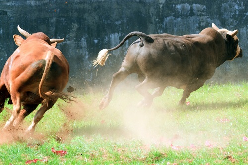 xrp-price-outlook:-a-tinge-of-frustration-but-bulls-have-$1-in-sight