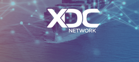 xdc-network-dominates-weekend-top-100-roster-with-50%-rally