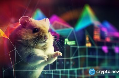 hamsters-(hams)-token-gained-over-1000%-on-weekend