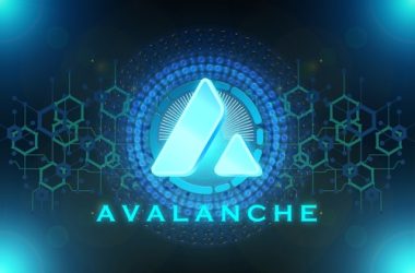 avalanche-foundation-allocates-$50m-to-new-tokenization-program