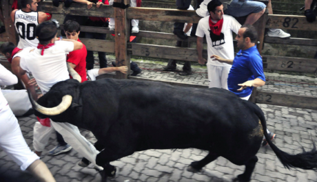 litecoin-bulls-barrel-back-toward-$92-level-–-will-they-succeed?