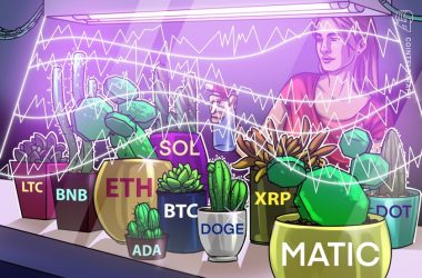 price-analysis-7/26:-btc,-eth,-xrp,-bnb,-ada,-sol,-doge,-matic,-ltc,-dot