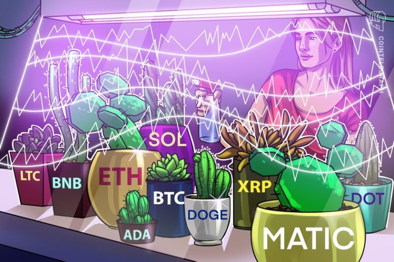price-analysis-7/26:-btc,-eth,-xrp,-bnb,-ada,-sol,-doge,-matic,-ltc,-dot