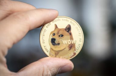 dogecoin-falls-while-others-rally,-is-it-decoupling-from-the-market?