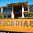 vc-firm-sequoia-capital-slashes-crypto-fund-by-65%-amid-bear-market