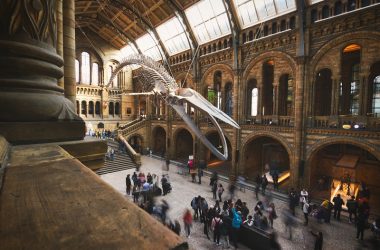 the-sandbox-and-british-museum-partner-to-bring-history-and-art-into-the-metaverse