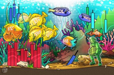 price-analysis-7/29:-btc,-eth,-xrp,-bnb,-ada,-sol,-doge,-matic,-ltc,-dot
