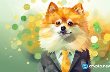 shiba-inu-millionaires-accumulating-pomd-in-pomerdoge-presale