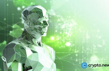 borroe,-cardano,-and-polkadot-aiming-to-revolutionize-crypto-in-2023