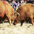 casper-(cspr)-price-prediction:-still-up-to-bulls?