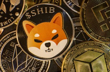 shiba-inu-reclaims-14th-spot-in-market-after-5%-jump