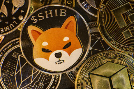 shiba-inu-reclaims-14th-spot-in-market-after-5%-jump