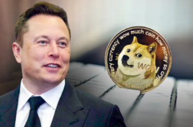 dogecoin-leaps-13%-following-elon-musk’s-cryptic-tweet-–-details