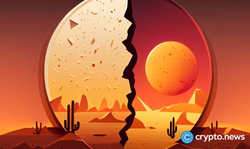 litecoin-halving-approaching,-cardano-building-as-borroe-presale-progresses