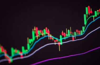 bald-token-records-astounding-40,000%-upside-after-launch-on-base