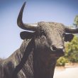 optimism-bulls-unfazed-as-network-unlocks-24-million-op