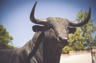 optimism-bulls-unfazed-as-network-unlocks-24-million-op