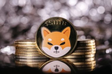 over-$28-million-in-shib-withdrawn-from-exchanges-ahead-of-shibarium-launch