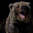 bitcoin-nvt-shows-bearish-crossover,-price-drop-incoming?